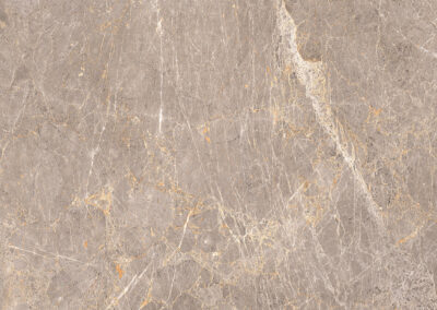 ABSTRACT GREY-F1