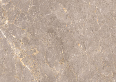 ABSTRACT GREY-F3