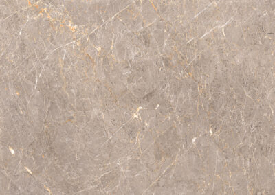ABSTRACT GREY-F4