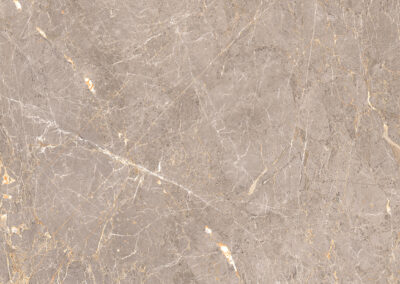 ABSTRACT GREY-F6