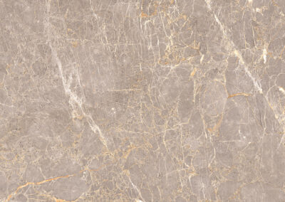 ABSTRACT GREY-F7