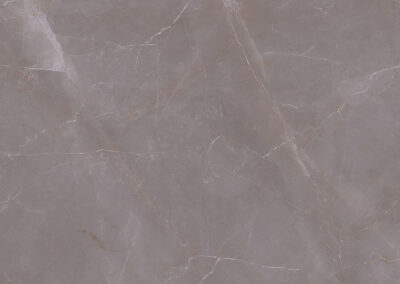 Armani Lux Grey F (1)