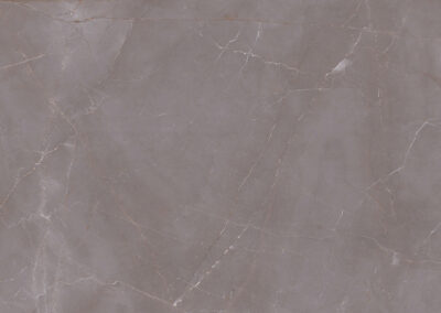 Armani Lux Grey F (2)