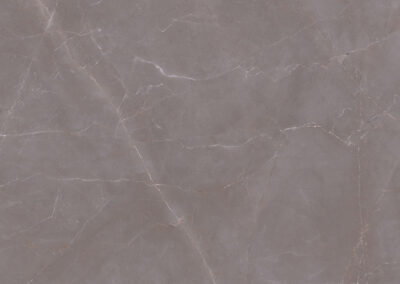 Armani Lux Grey F (3)