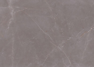 Armani Lux Grey F (4)