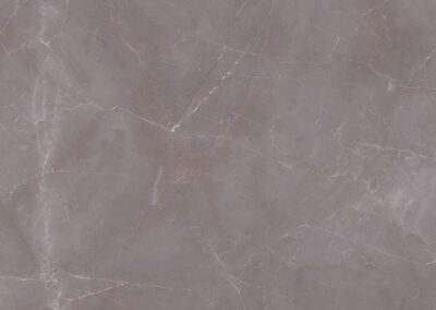Armani Lux Grey F (6)