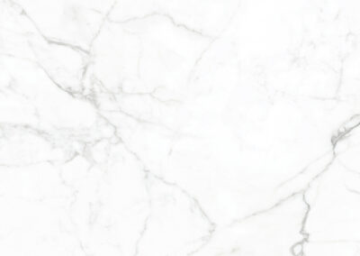 Elegancea Statuario_F (12)