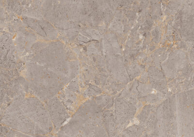GRIGIO CARNICO_F1