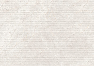 SYMPHONY GREY F (1)_HIGHLIGHTER