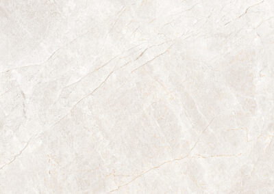 SYMPHONY GREY F (4)
